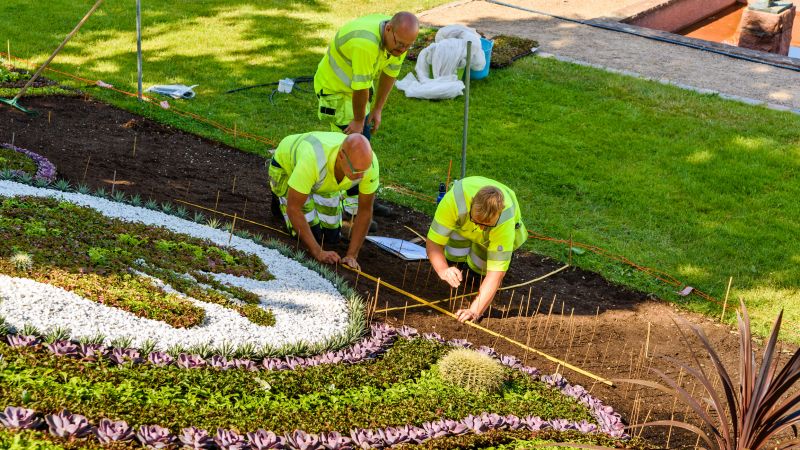 Residential Landscaping detail