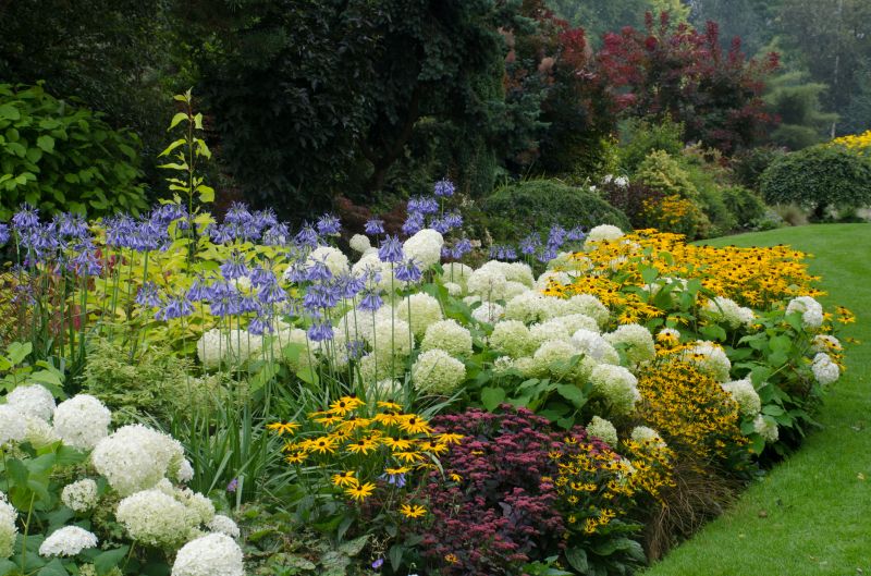 Zinnia Planting