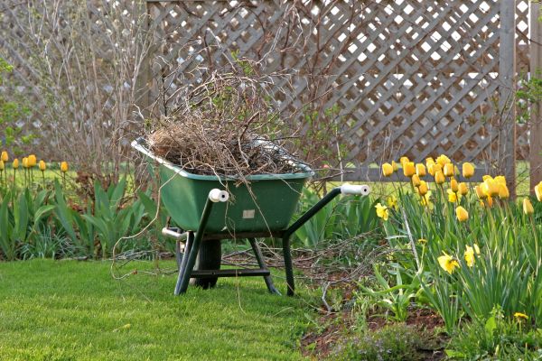 Flower Bed Cleanup Service in Buckeye