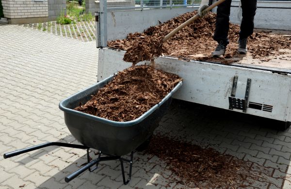 Bulk Mulch Delivery in Buckeye