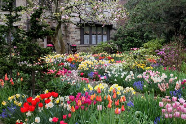 Garden Maintenance Service in Buckeye