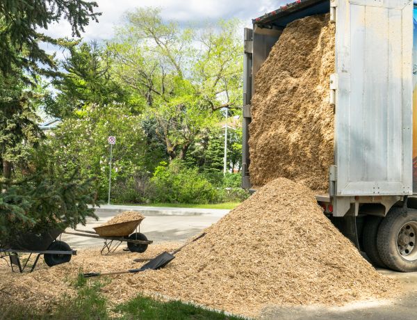 Wood Chips Delivery in Buckeye