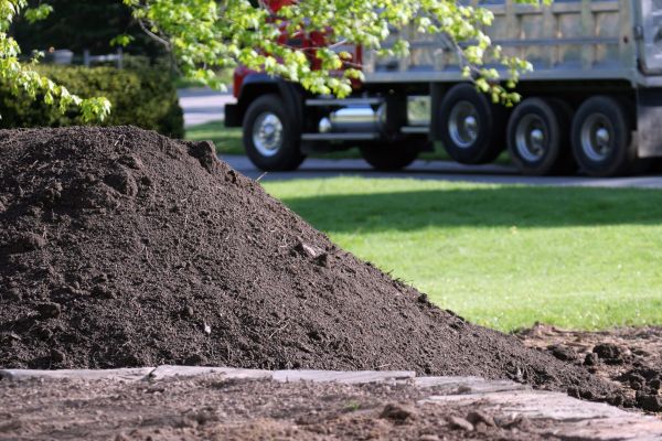 Yard Dirt Delivery in Buckeye