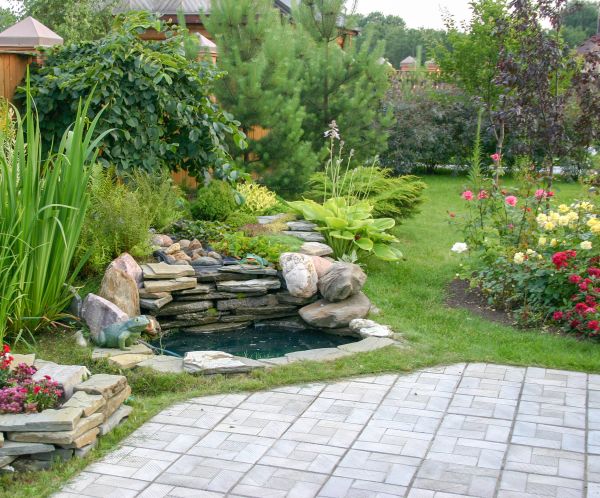 Yard Renovation in Buckeye