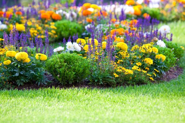 Garden Installation in Buckeye