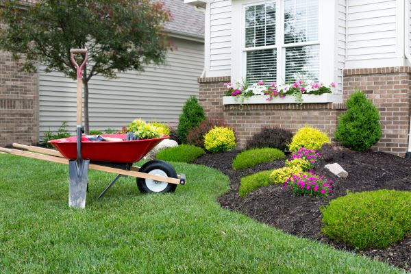Landscape Maintenance Service in Buckeye