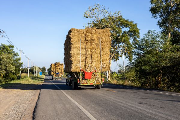 Pine Straw Delivery in Buckeye