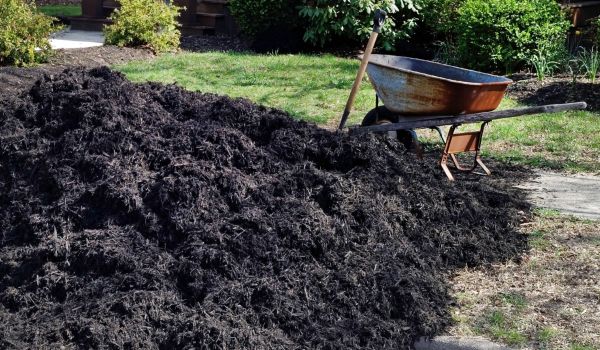 Black Mulch Delivery in Buckeye