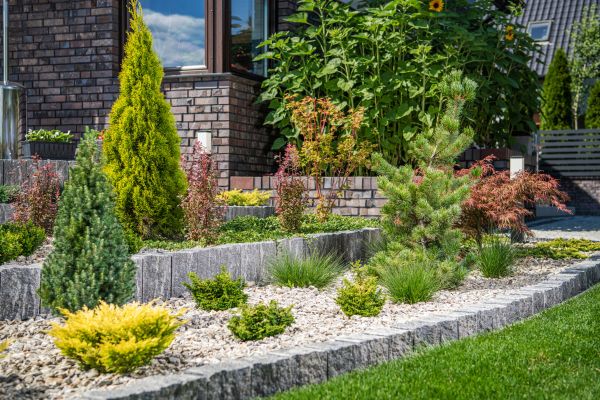 Landscape Construction Service in Buckeye