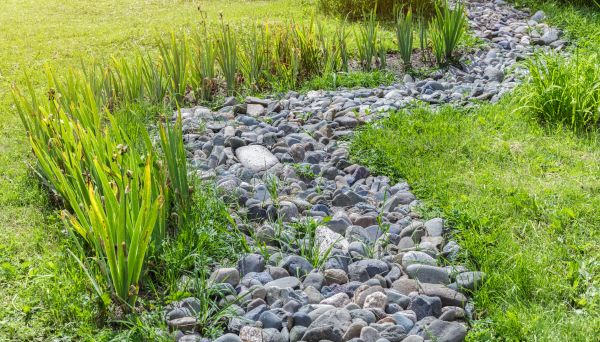River Rock Garden Installation in Buckeye