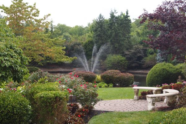 Courtyard Design Service in Buckeye