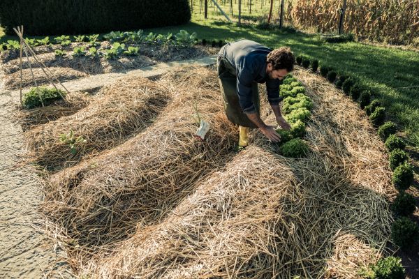 Straw Mulching Service in Buckeye