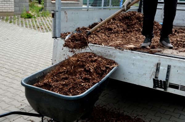 Landscape Mulch Delivery in Buckeye