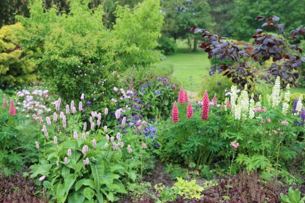 Flower Bed Planting in Buckeye