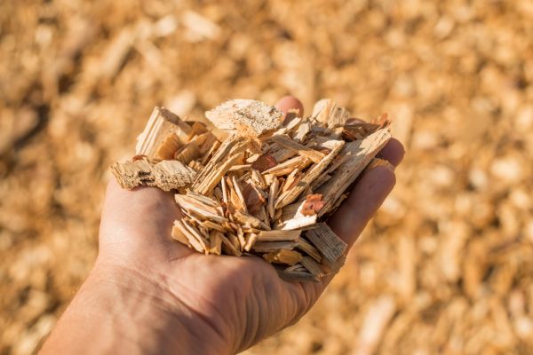 Wood Chips Spreading in Buckeye