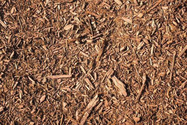 Wood Chips Removal in Buckeye