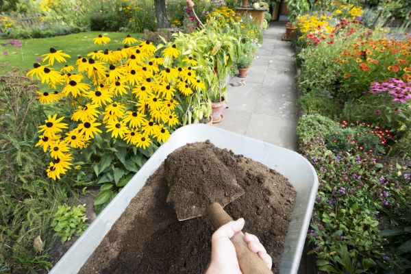 Topsoil Replacement in Buckeye