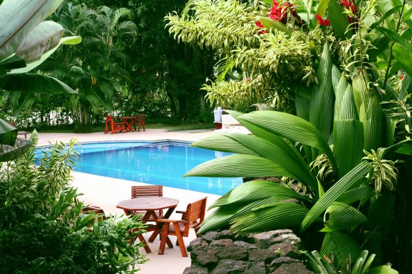 Pool Area Landscaping in Buckeye