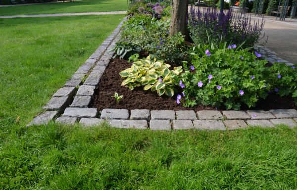 Flower Bed Mulching in Buckeye