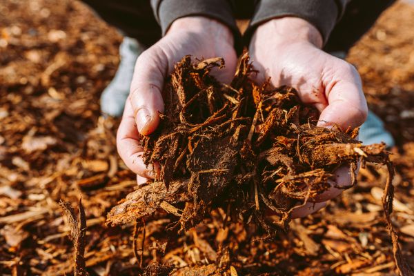 Bark Chips Delivery in Buckeye