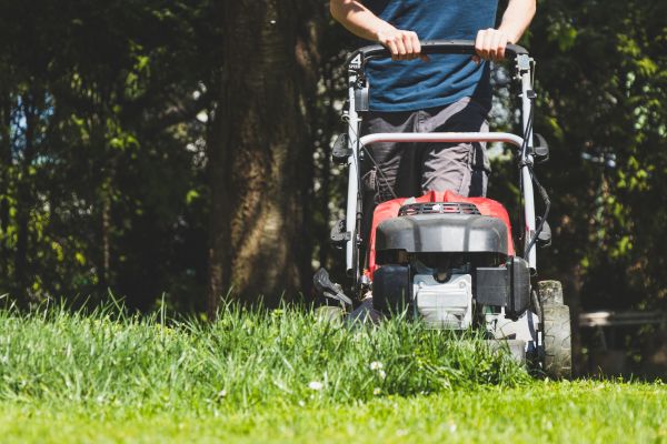 Garden Trimming Service in Buckeye