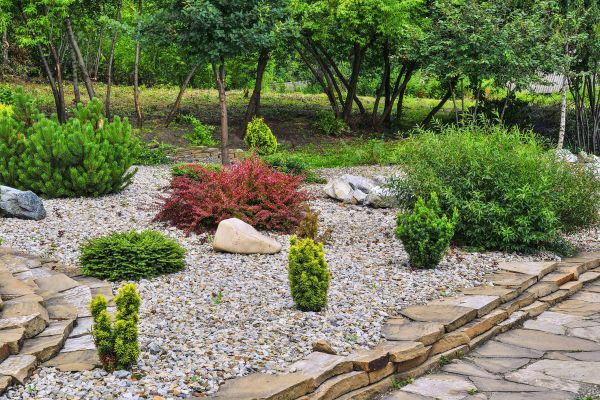 Hardscape Landscaping in Buckeye