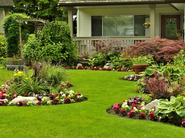 Flower Garden Planting in Buckeye