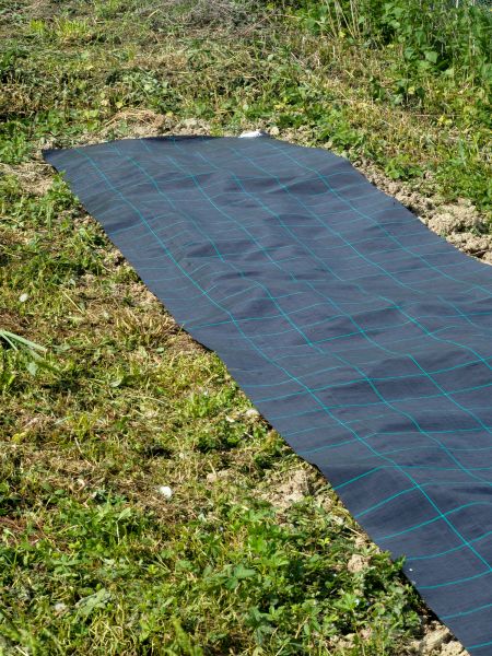 Weed Suppressant Installation in Buckeye