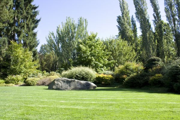 Yard Enlargement in Buckeye