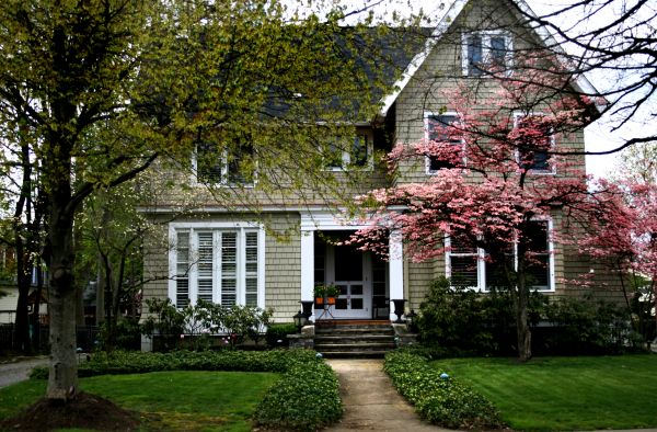 Ornamental Tree Planting in Buckeye
