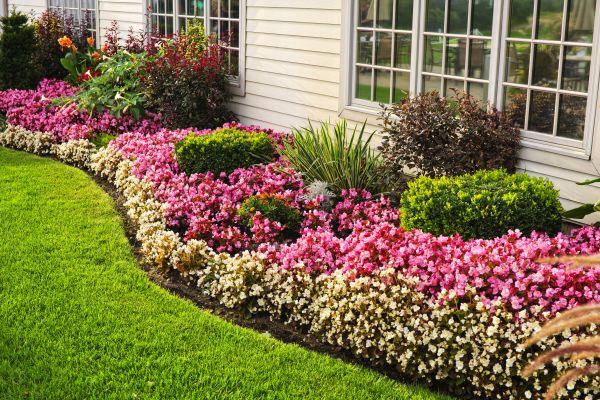 Garden Landscape Design in Buckeye