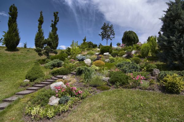 Steep Terrain Landscaping in Buckeye