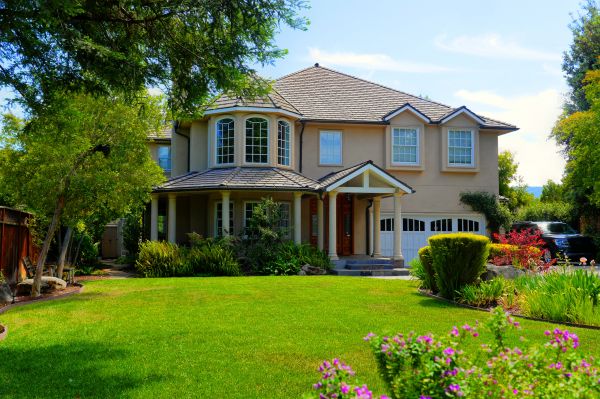 Large Yard Landscaping in Buckeye