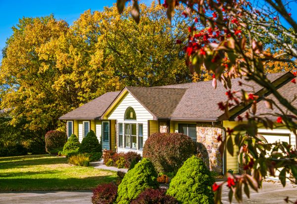 Ranch Landscaping in Buckeye