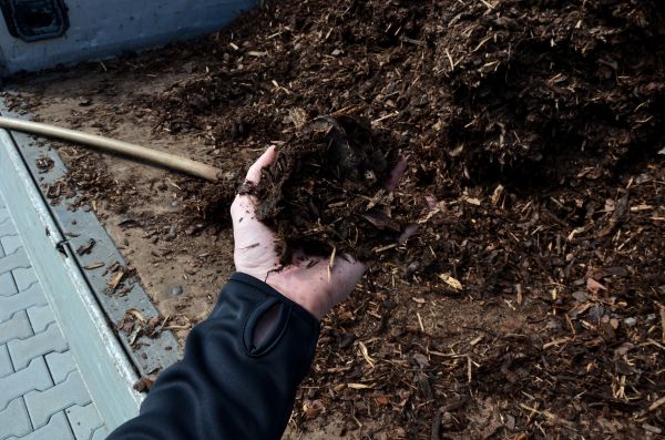 Condo Mulching in Buckeye